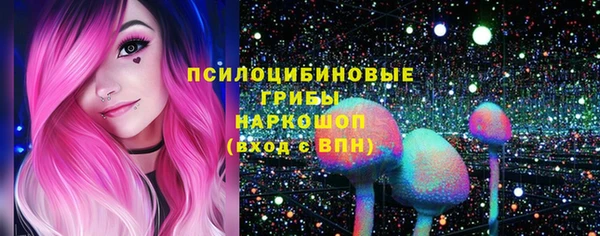 ГАЛЛЮЦИНОГЕННЫЕ ГРИБЫ Алексин