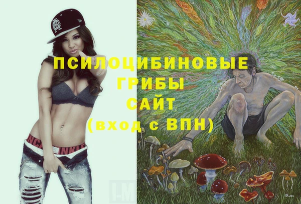 крисы Абинск